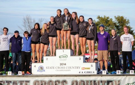 2014-state-girls-2nd-place